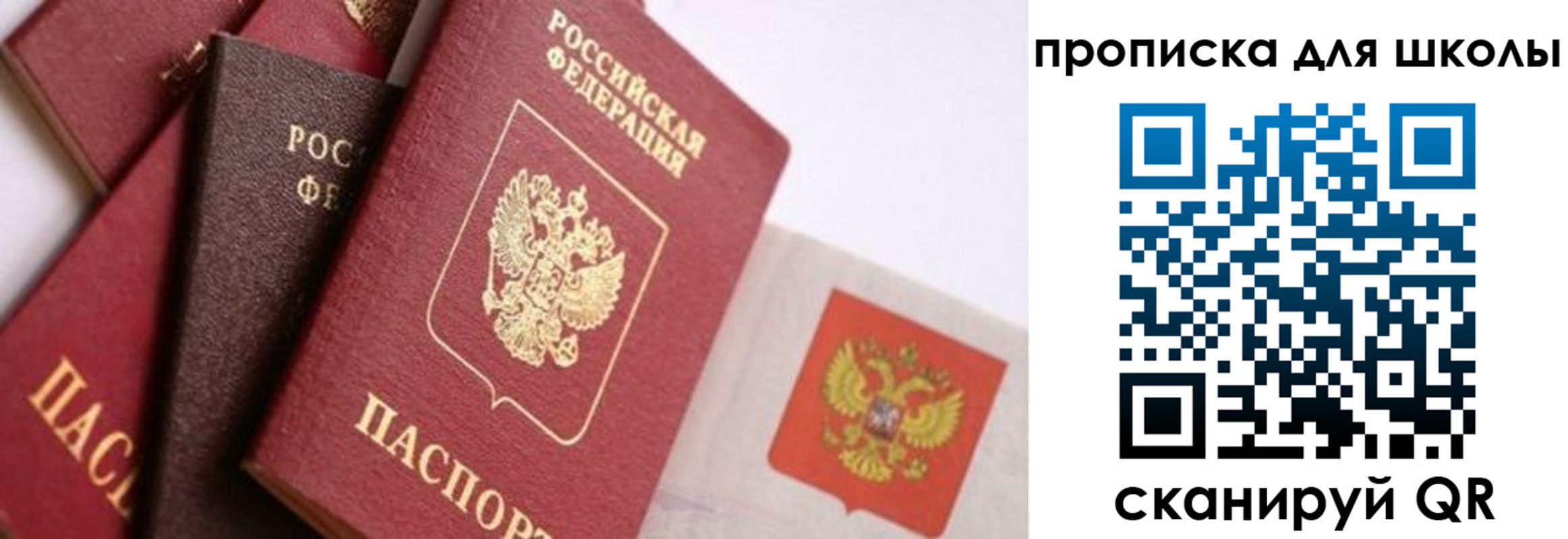 прописка поиск в Острогожске